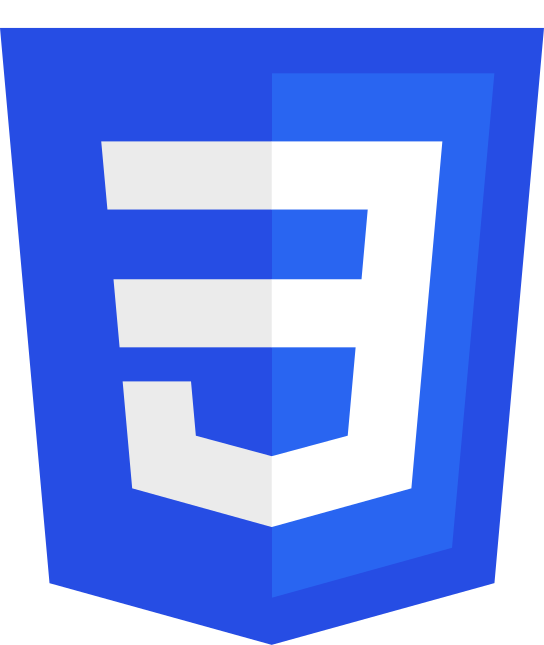 CSS Logo