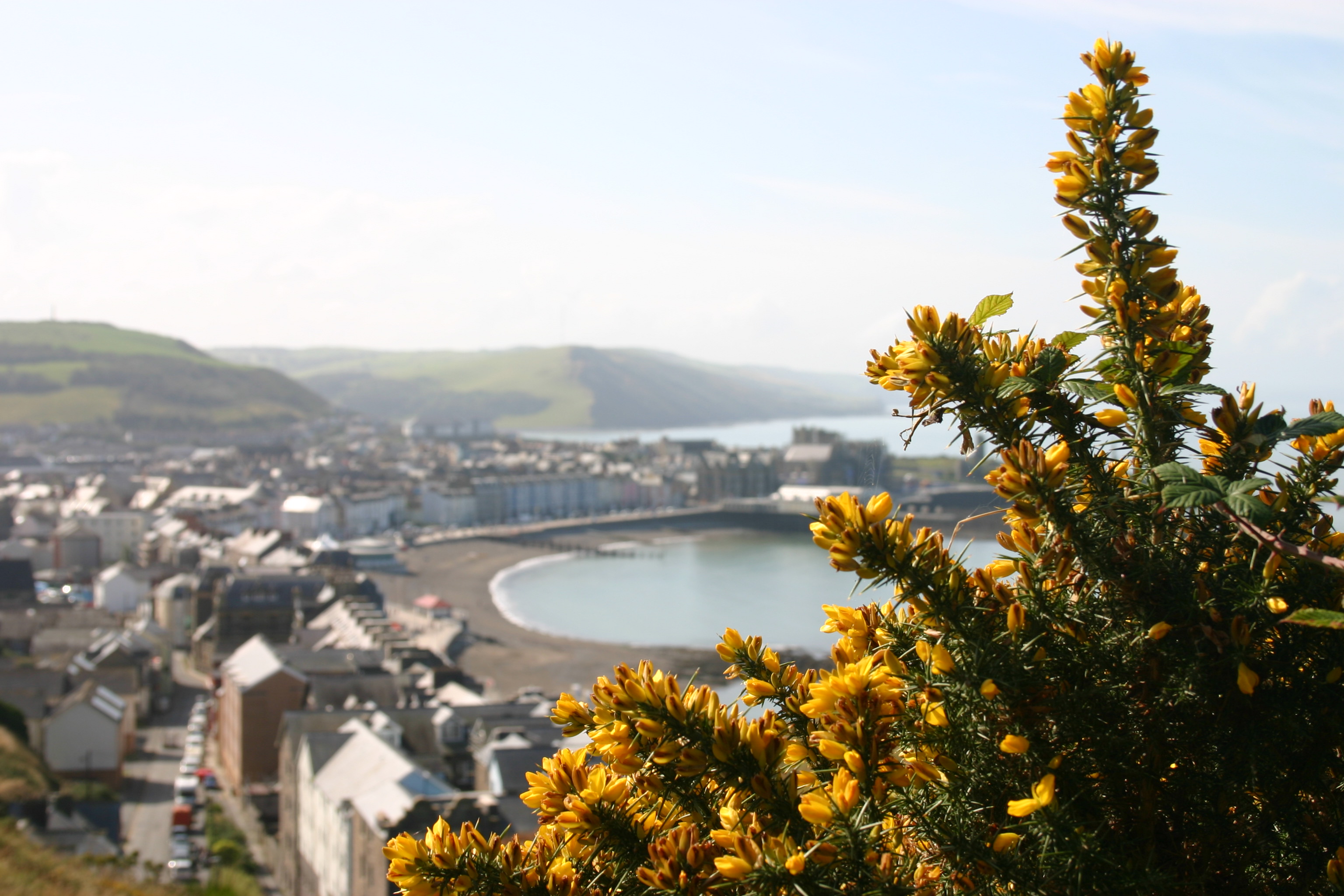Photo of Aberystwyth on top Constitutional Hill
